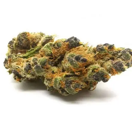 Indoor-grown cannabis flower under controlled lighting.