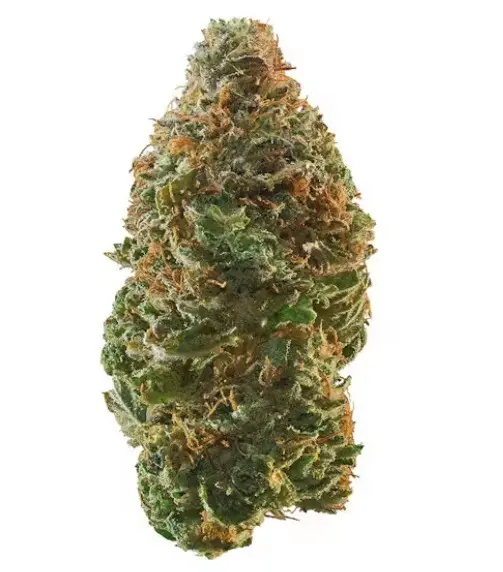 Trainwreck Hybrid Marijuana For Sale QLD - Image 2