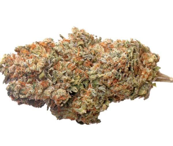 ACDC Strain