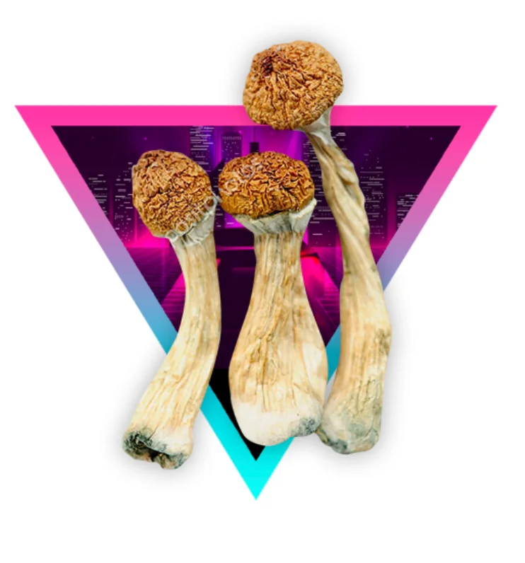 A+ magic mushrooms